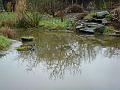 2010-0222-1340_Flooded_Pond_2,7C
